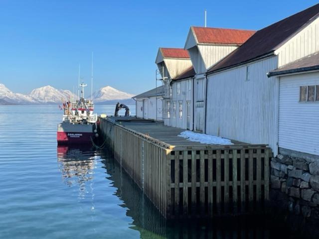 1. Etg I Dampskipsbrygga, Lodingen Havn Dış mekan fotoğraf